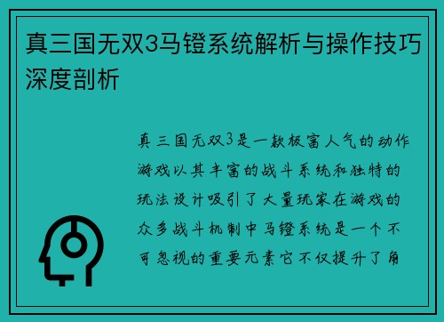 真三国无双3马镫系统解析与操作技巧深度剖析